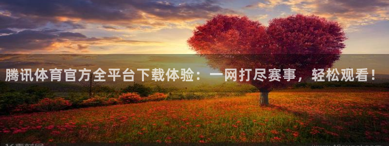 斗球直播网址：腾讯体育官方全平台下载体验：一网打尽赛事，轻松观看！